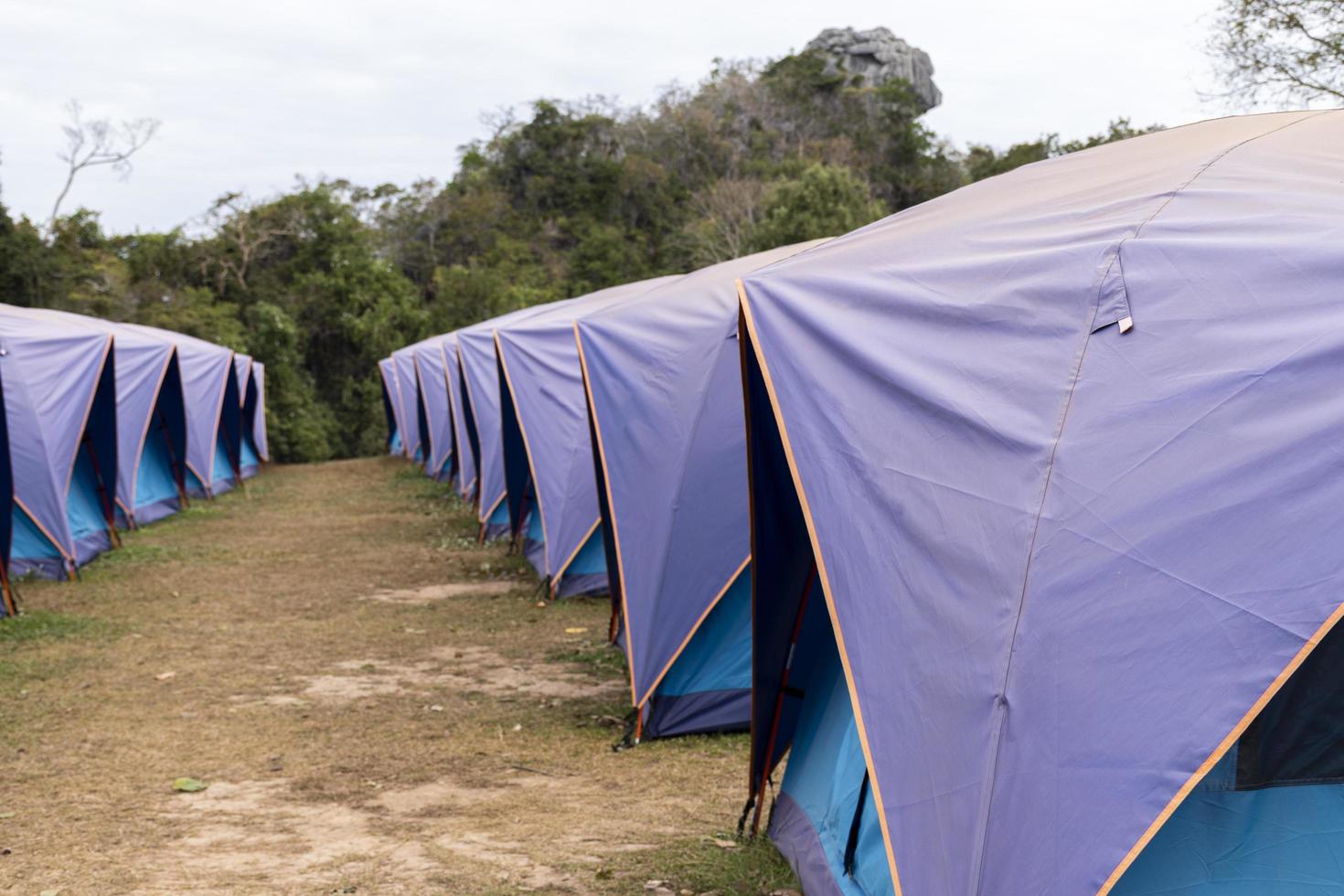 carpas azules alineadas en doi samoe dao en el parque nacional de sri nan en tailandia foto