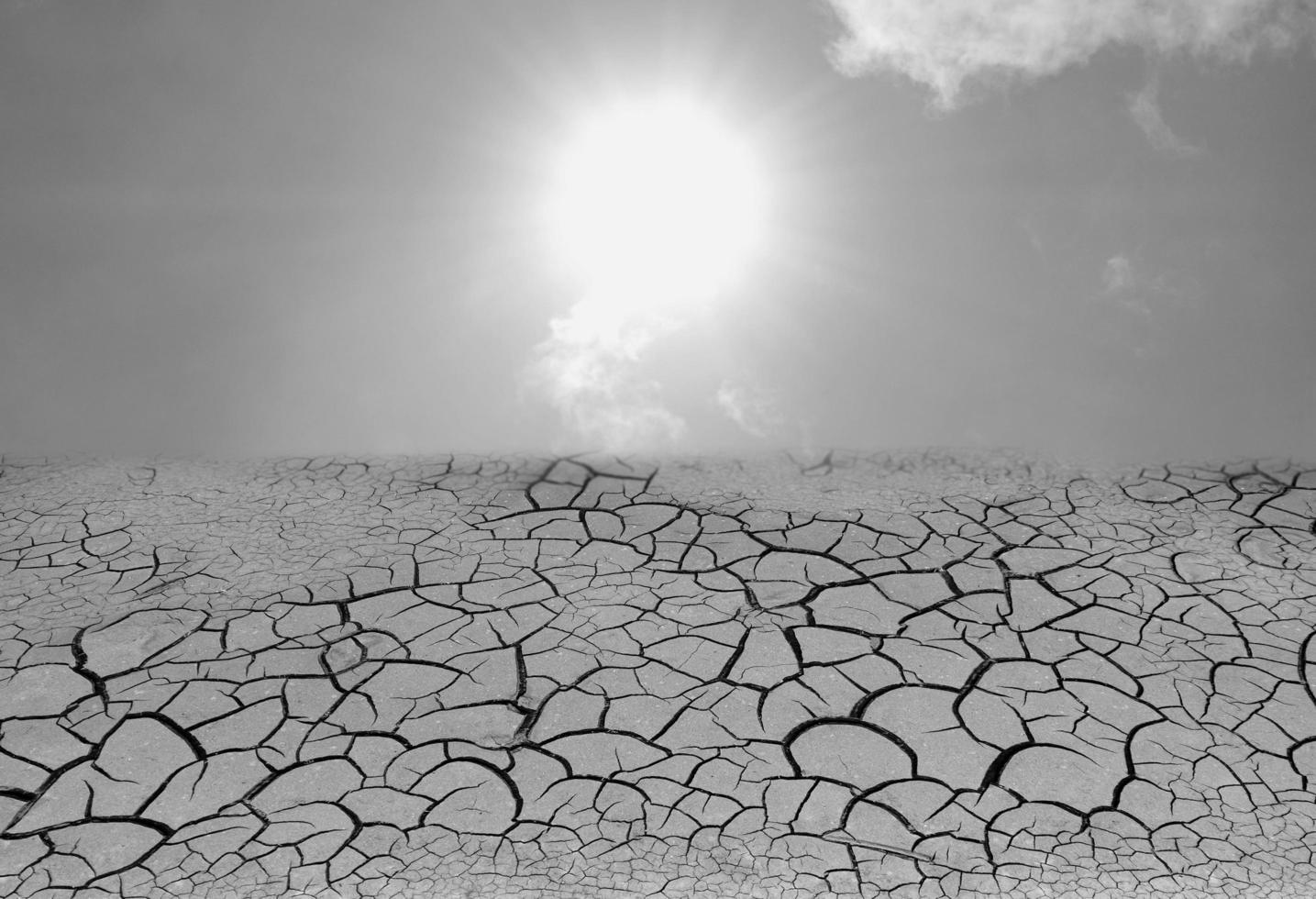 Dryness concept weathered texture of arid cracked ground with sunrise view background photo