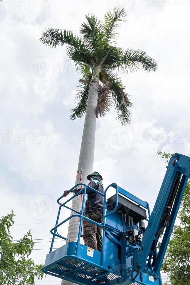 Gardener cutting branches on crane basket. unsafe concept photo