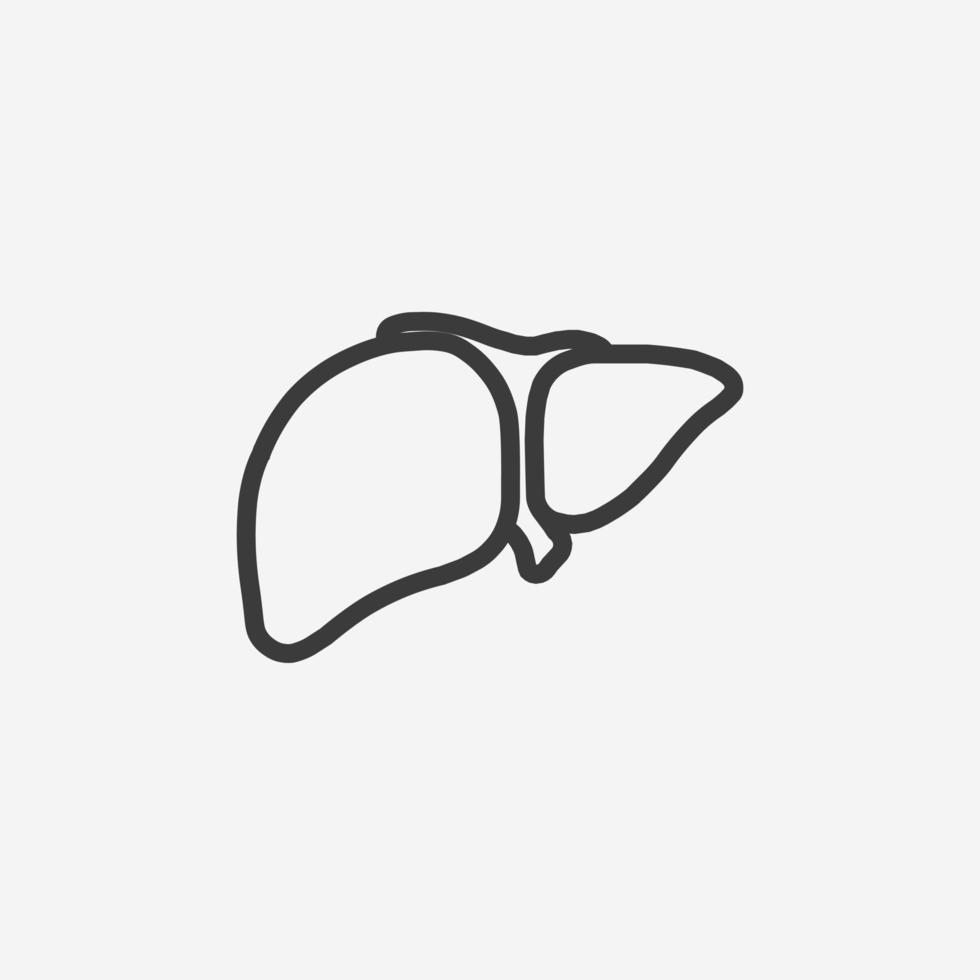 órgano médico hígado vector icono aislado símbolo signo