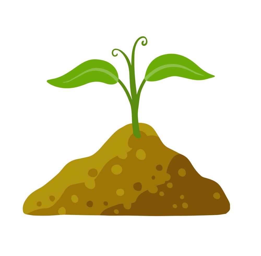 Sprout of plant in ground. Green leaves of young seedlings in soil. Flat cartoon illustration vector