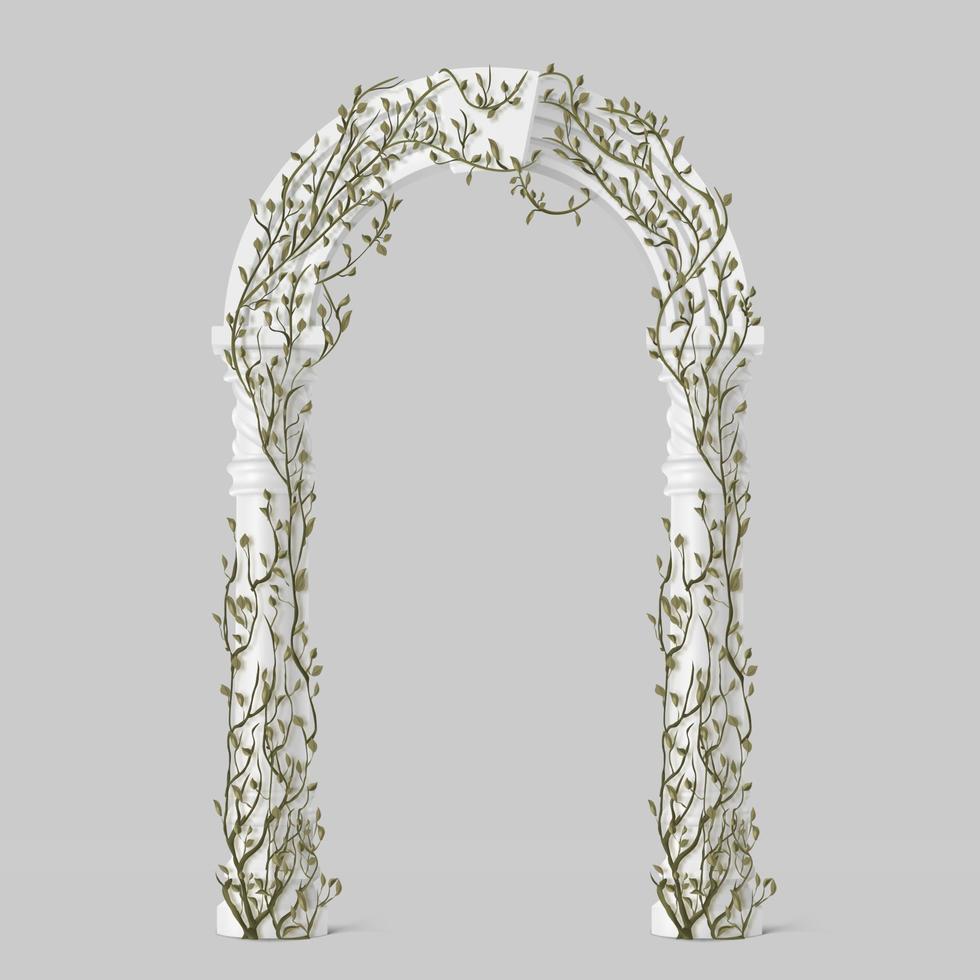 Ivy on marble arch, vines with green leaves on arc vector