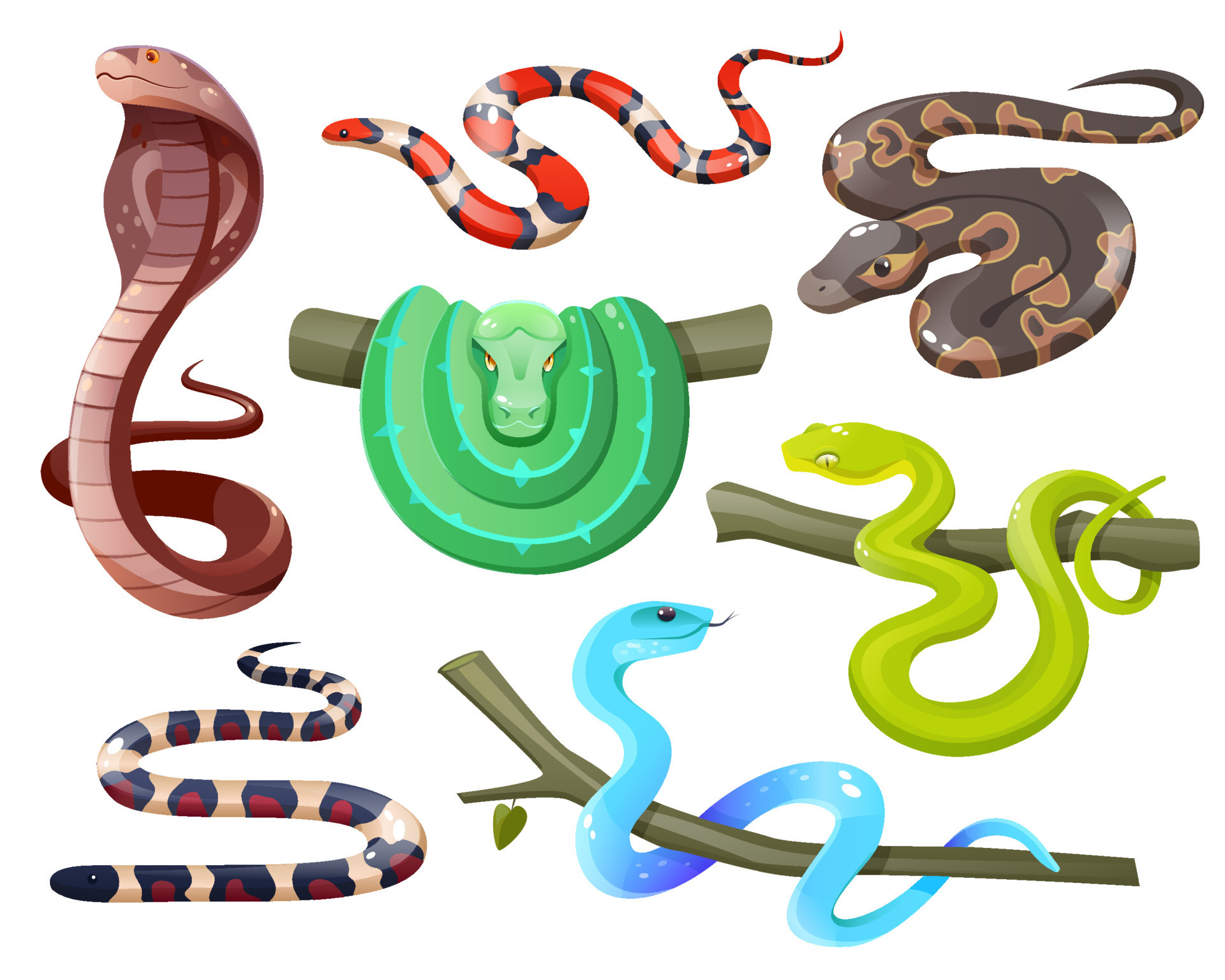 Snakes, wild tropical serpents, cobra and python 14742951 Vector Art at ...