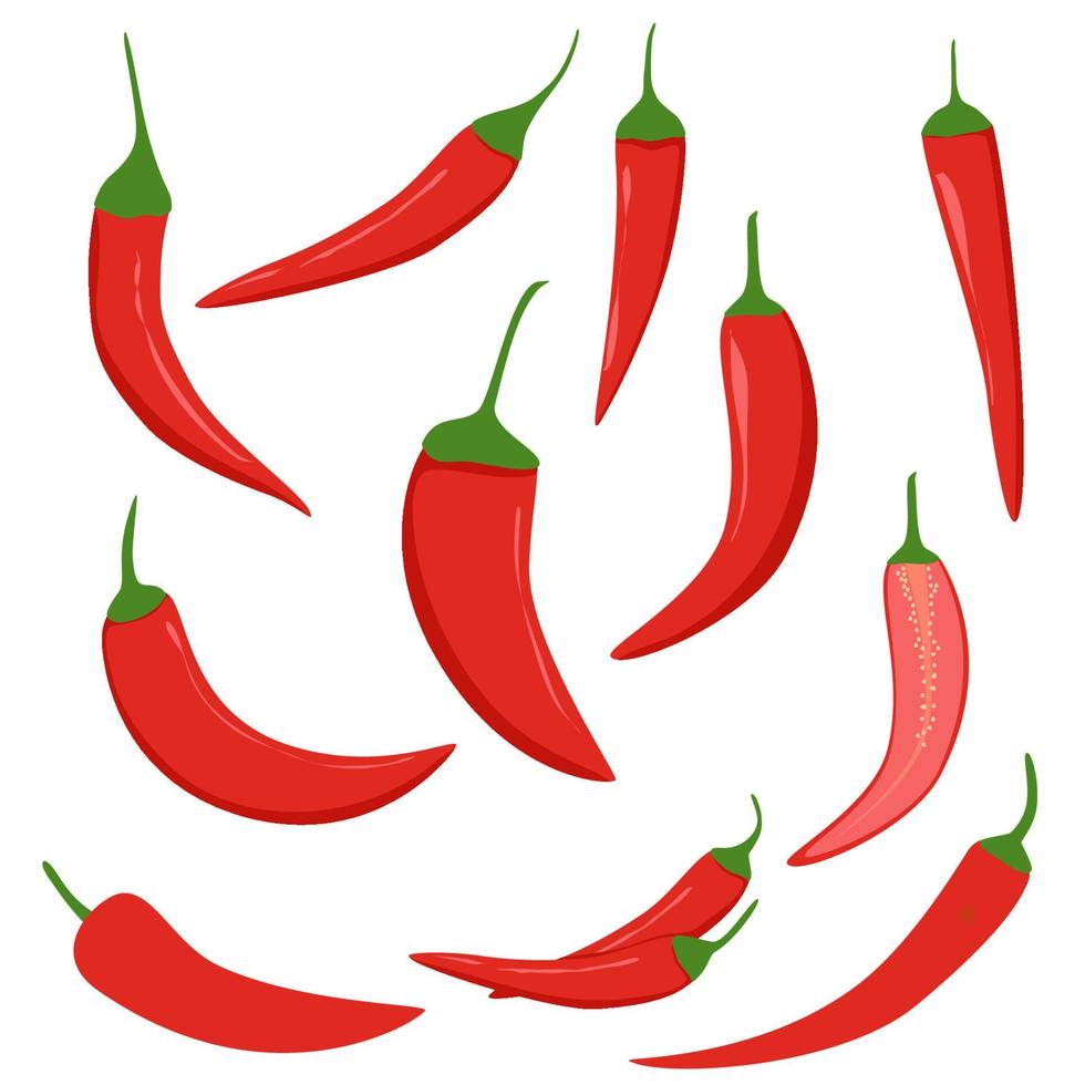 Red chilies vector illustration collection
