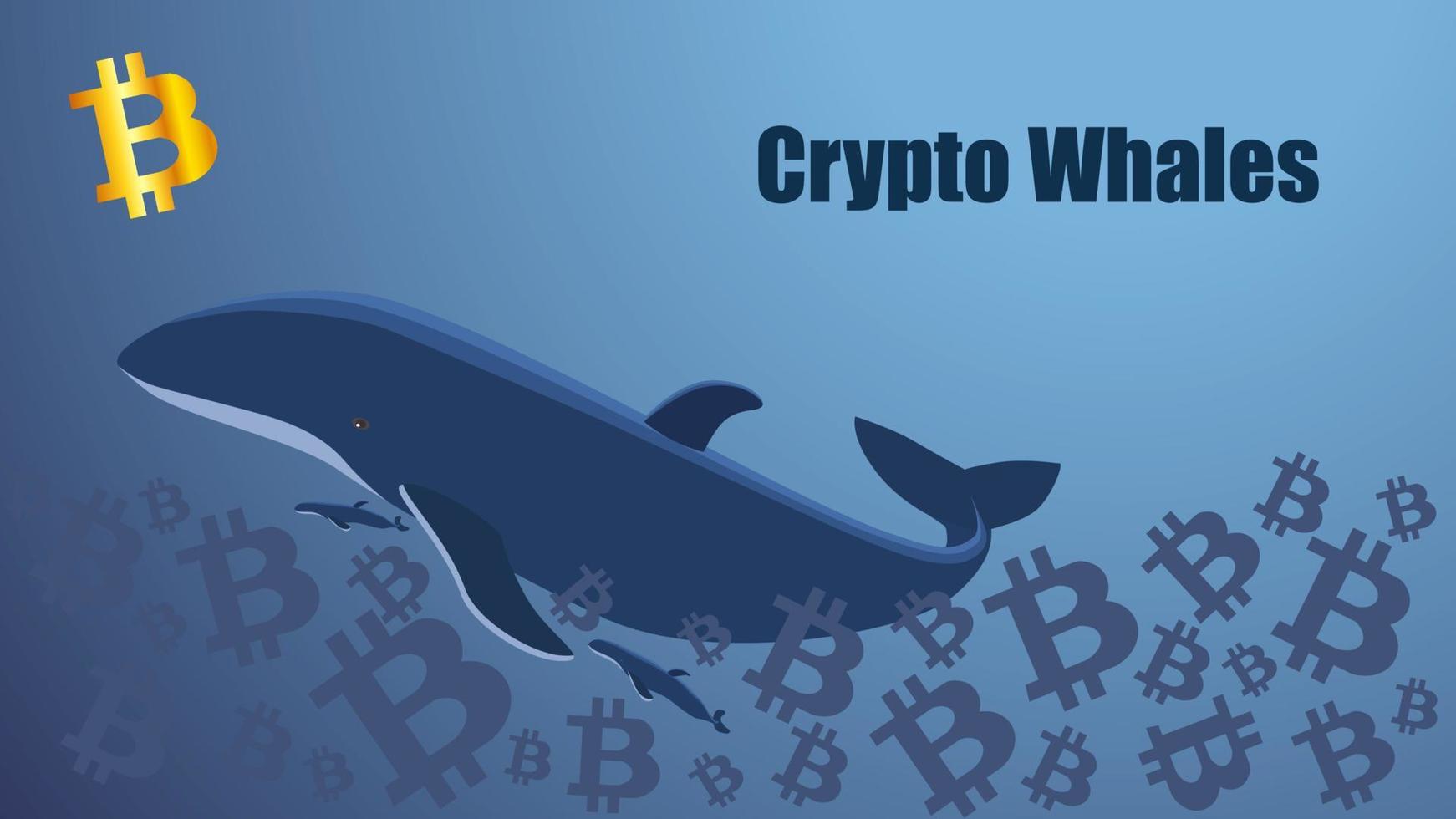 Concept screen with crypto whale floating in the sea of bitcoins. Golden bitcoin icon. Template for website or news illustration. Blue background. Vector EPS 10.