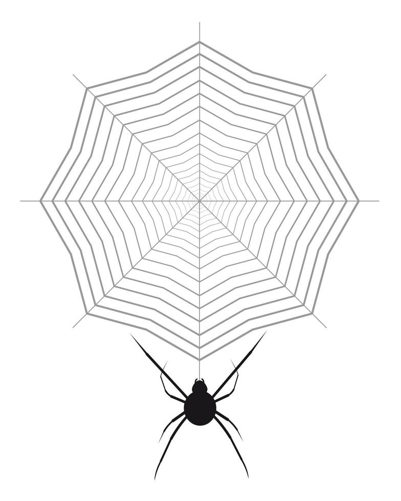 araña arrastrándose en la web sobre un fondo blanco vector