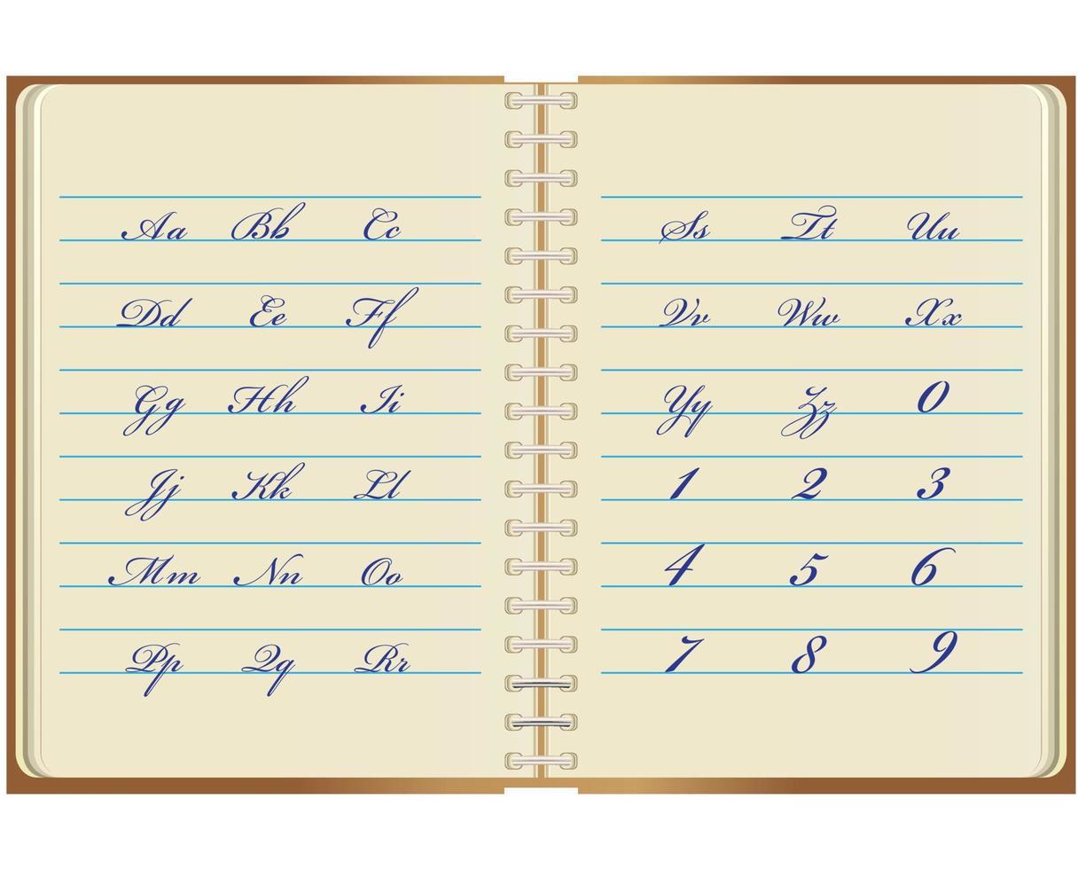 notebook with written letters of the English alphabet and numbers vector