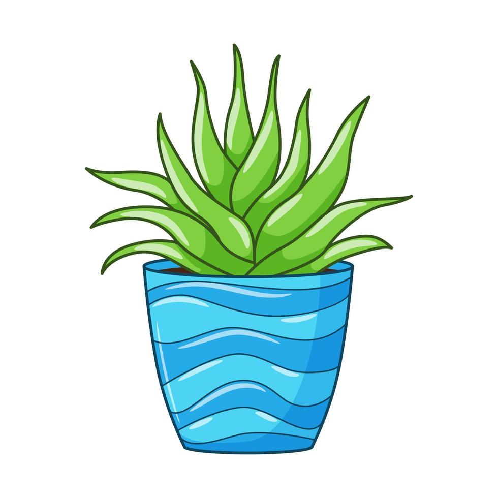 Vector cartoon aloe in pot. Indoor succulent plant with fleshy leaves. House plant for home and interior. Colorful botanical doodle illustration isolated on white background.