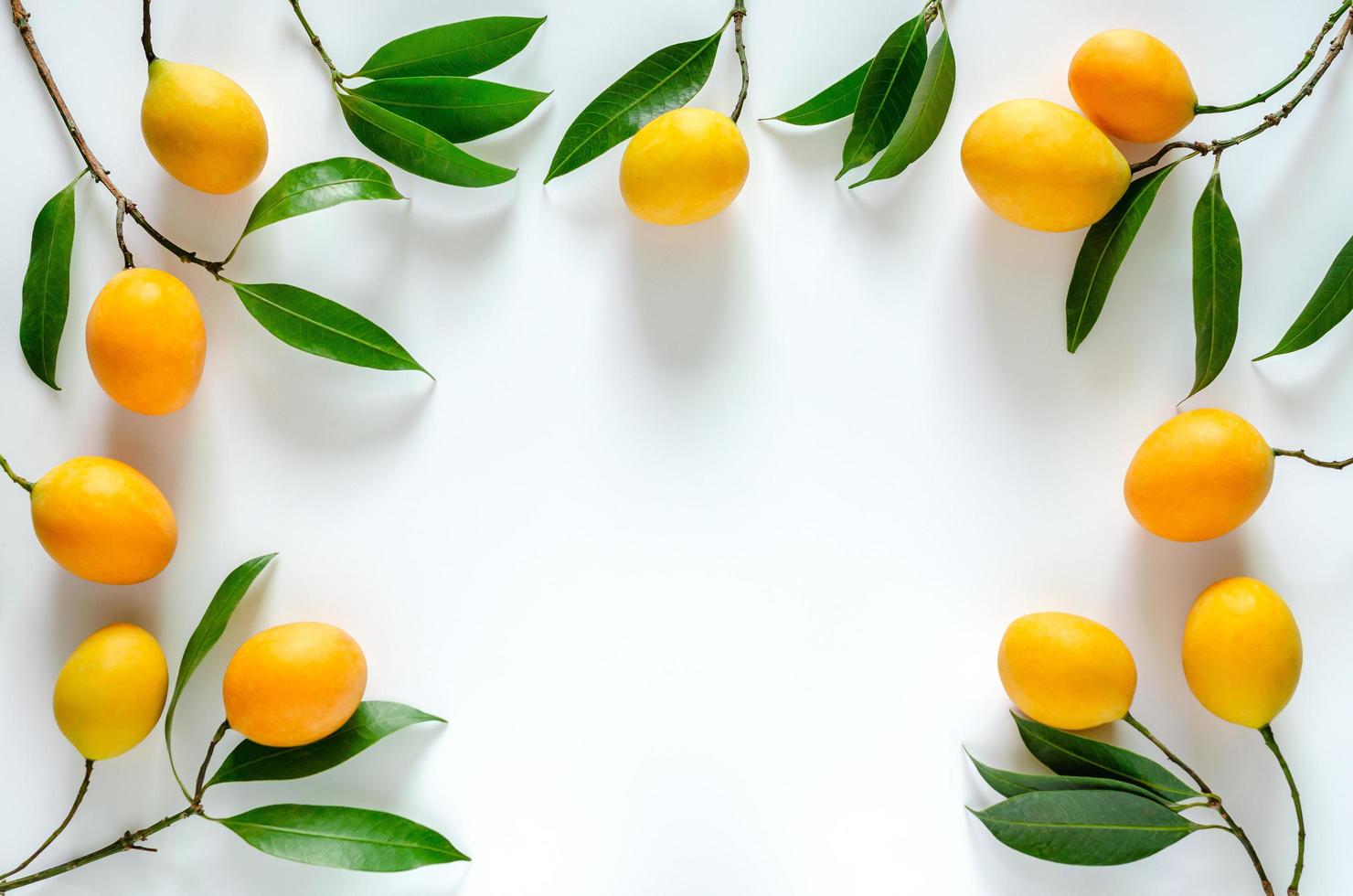 Sweet and sour Marian plum with its leaves on white background. photo