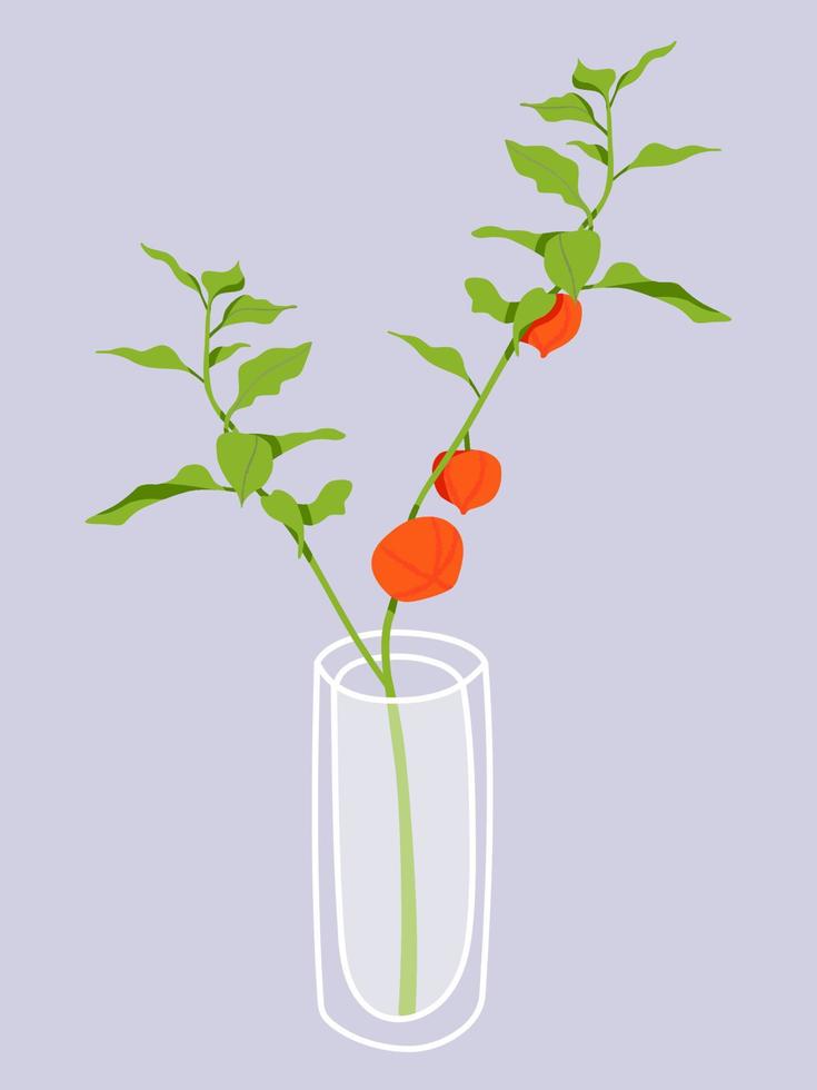 Glass vase with physalis branch inside. Hand drawn floral illustration. Home decor concept. Modern flat drawing for logo, pattern, web and app design. vector