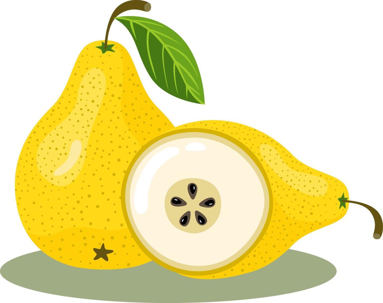 Whole and half yellow pear vector