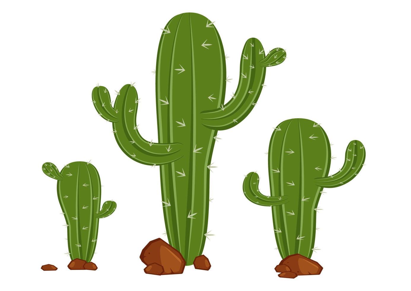 Different Types Of Cactus In Flat Style Vector