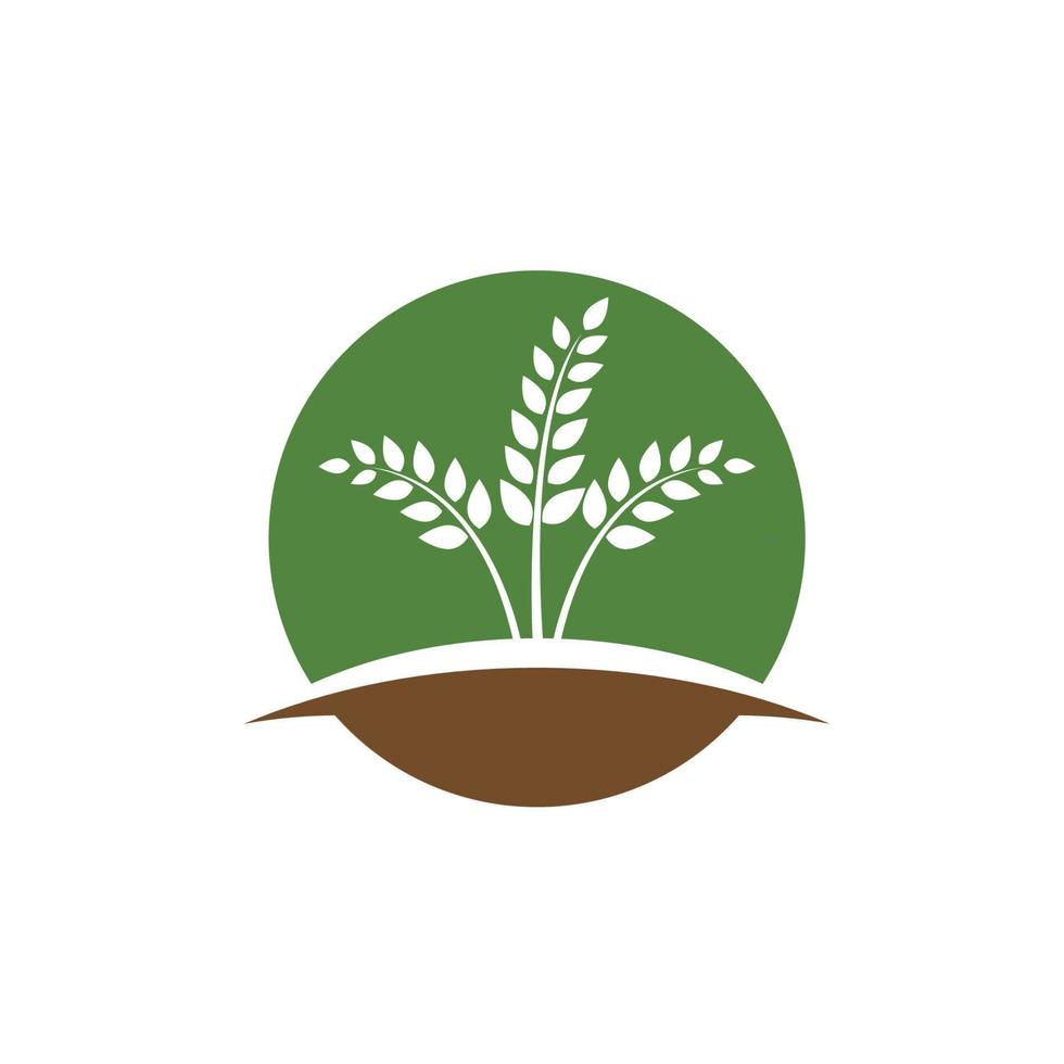 logotipos de la ecología de la hoja del árbol verde vector