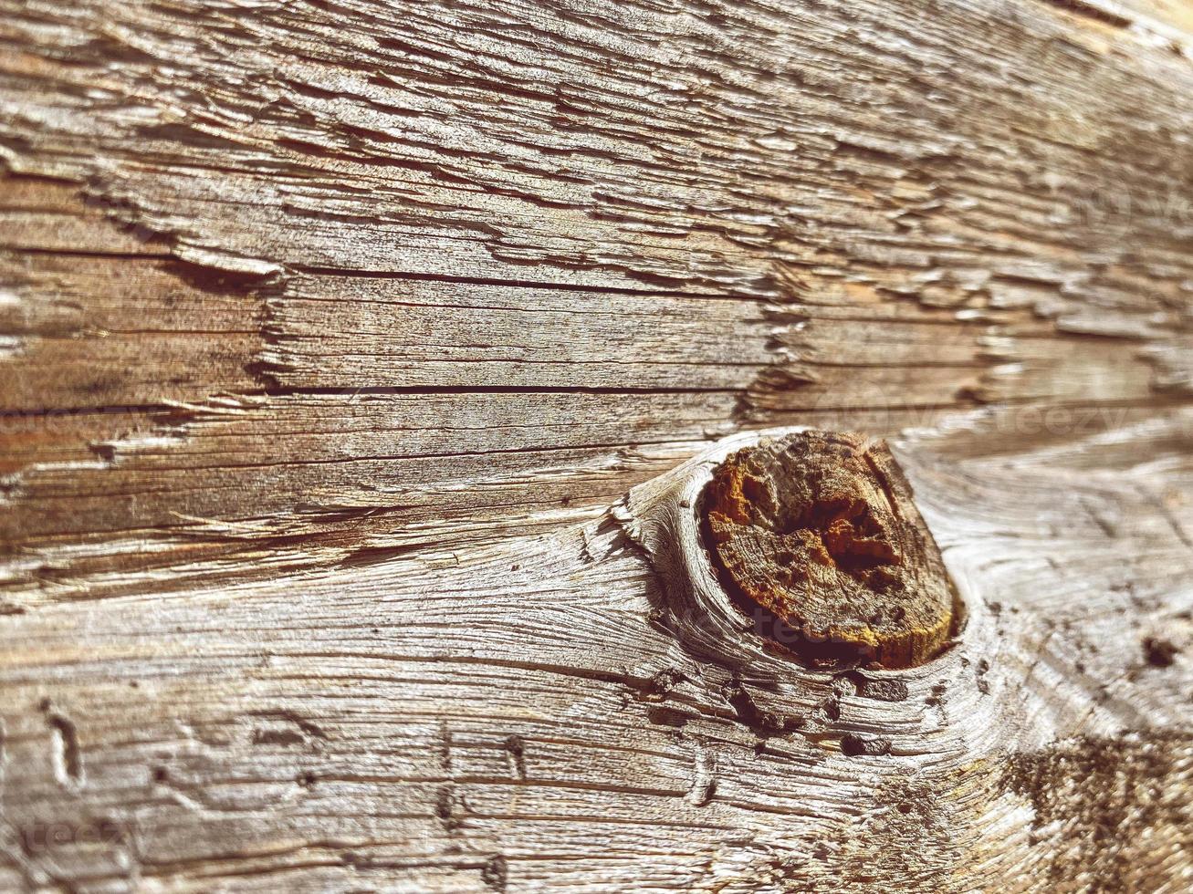 wooden texture. sticks and logs, natural material for building a house. wooden long sticks with a large giant knot. natural background photo