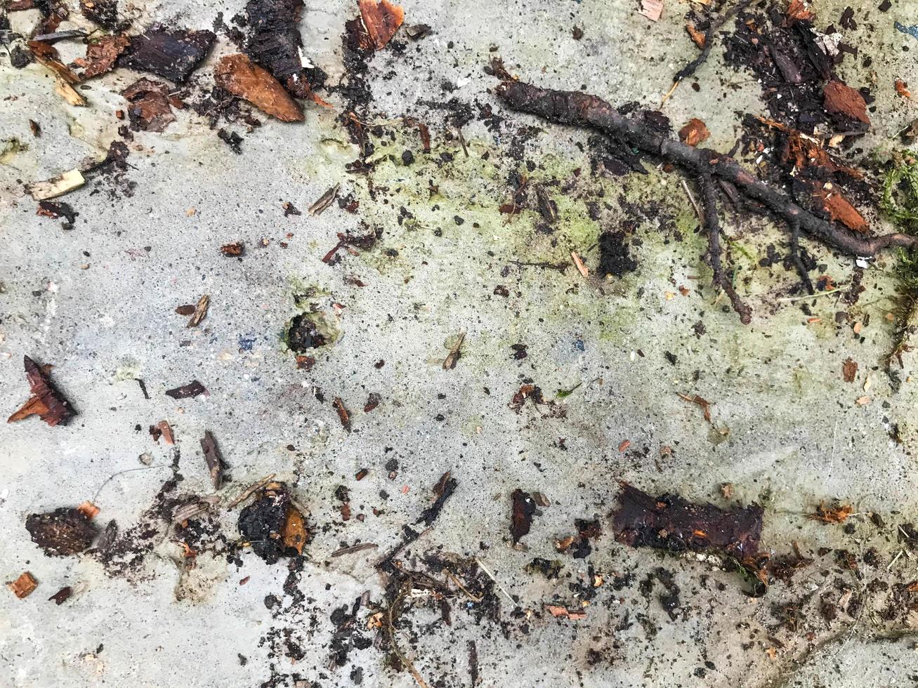 texture of silver color. metal sheet with pieces of wood. the blockhouse is cut on metal. sawdust, branches, bark fly off to the sides. moss blooms against the background, natural texture photo