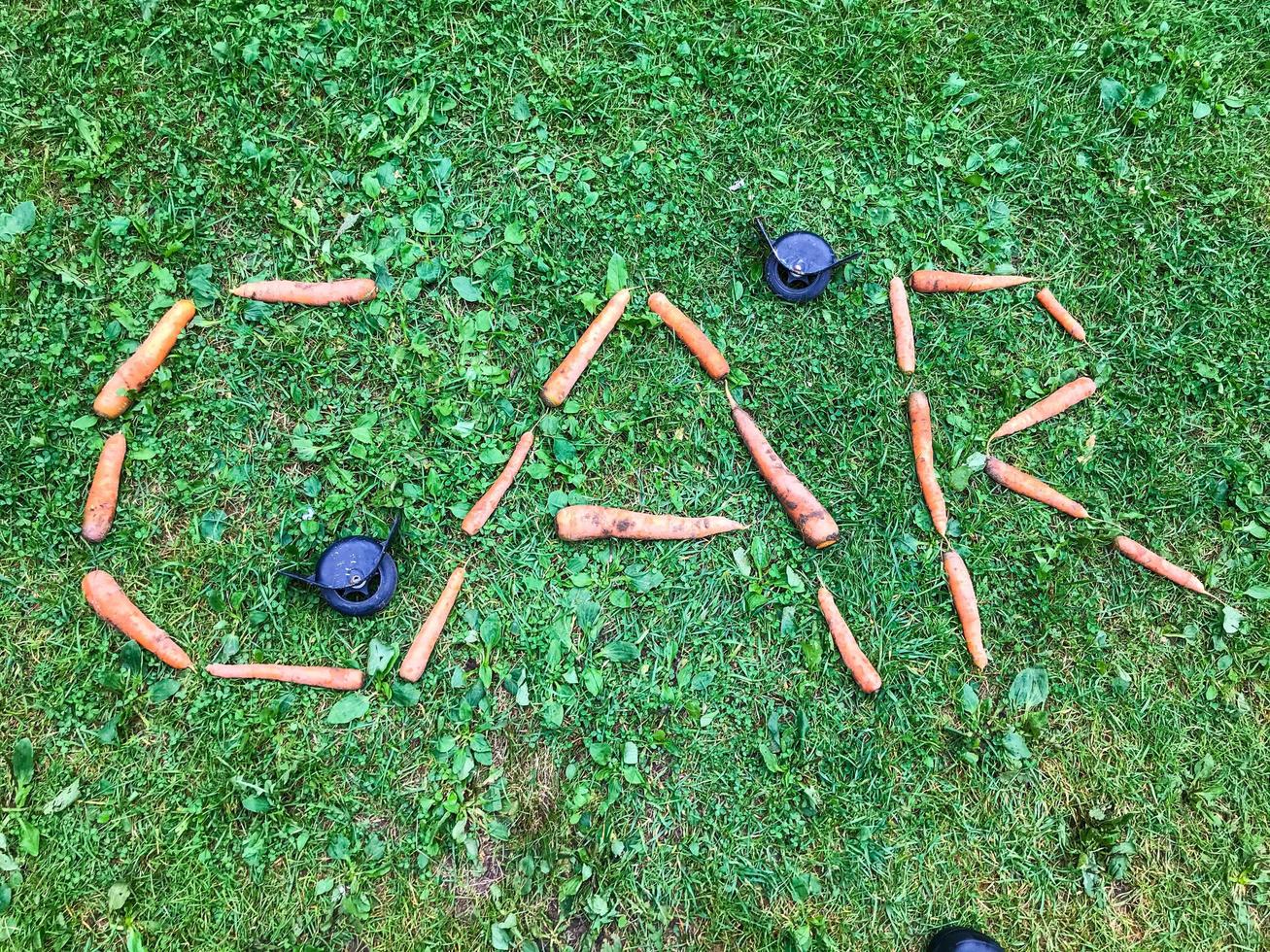 la palabra de las zanahorias se encuentra en el césped. letras c, a, r en la hierba. alfabeto de vitaminas. letras creativas. la máquina de palabras hecha de zanahorias naranjas. palabra creativa de zanahoria comestible foto