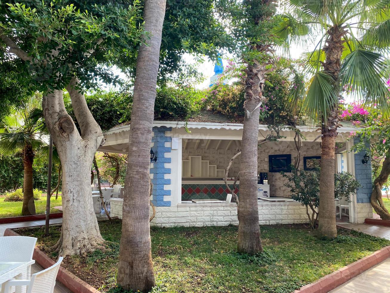 Beautiful heavenly palm trees with green large leaves against the background of small houses of buildings of a bungalow hotel in a warm eastern tropical country in the southern resort photo