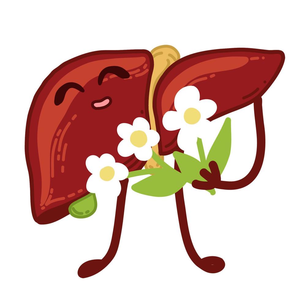 Happy liver with flowers. Vector kawaii flat style illustration. Isolated on white background.