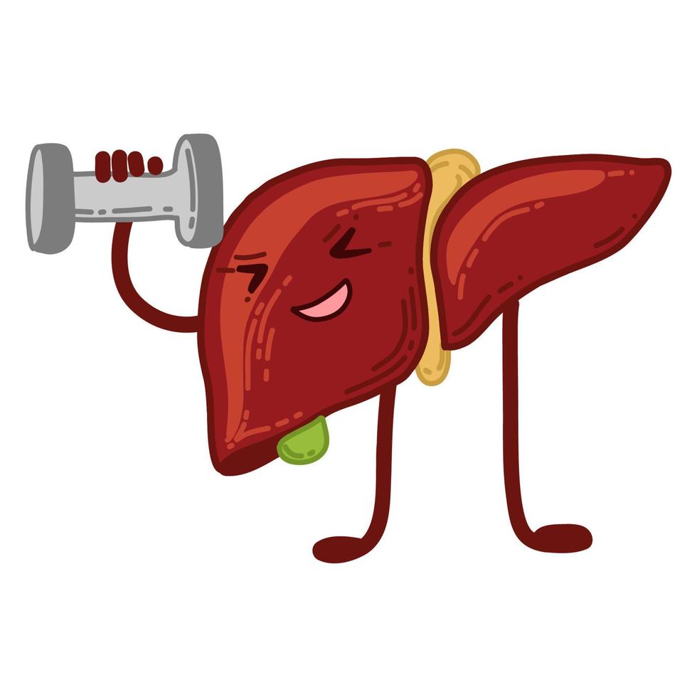 Healthy liver and active lifestyle. vector