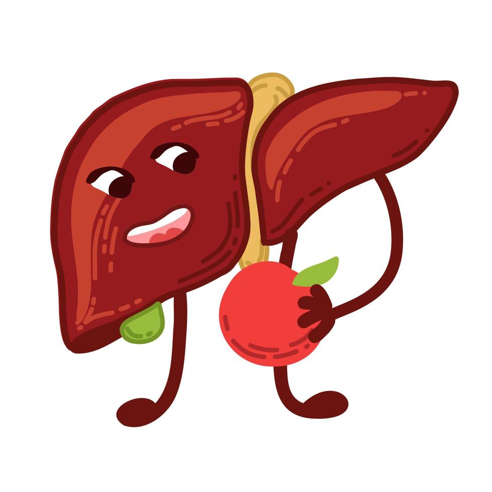 Cartoon liver and healthy food. Healthy lifestyle. Take care of your liver.  Liver Awareness Month 14752178 Vector Art at Vecteezy