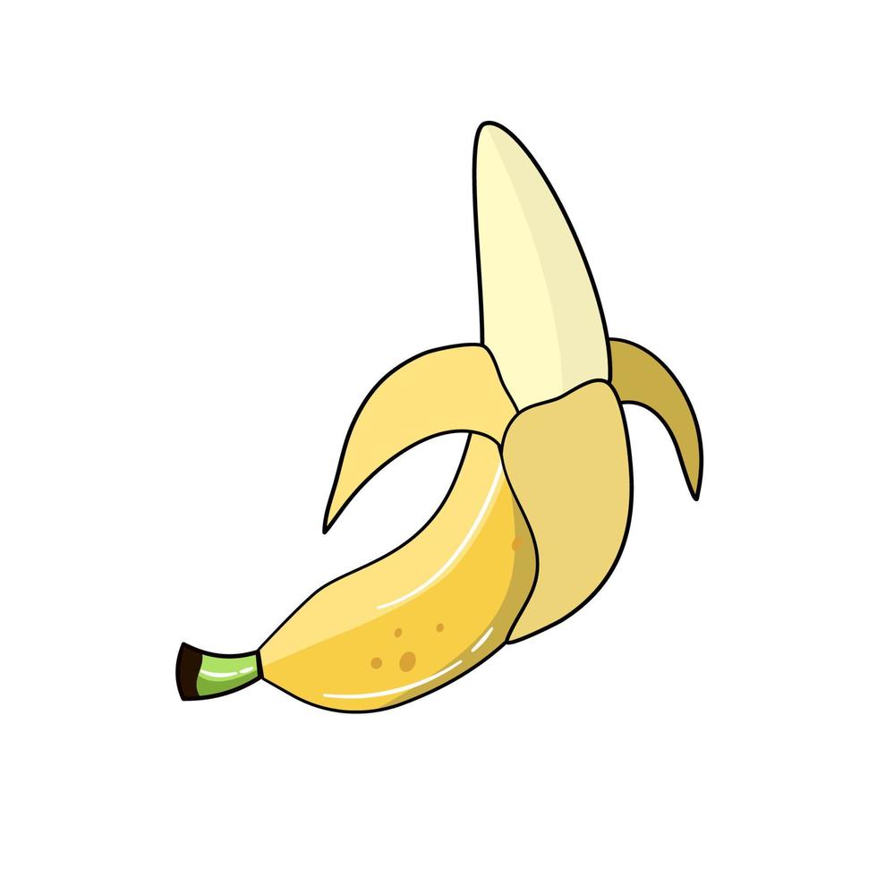 vector de fruta de banano