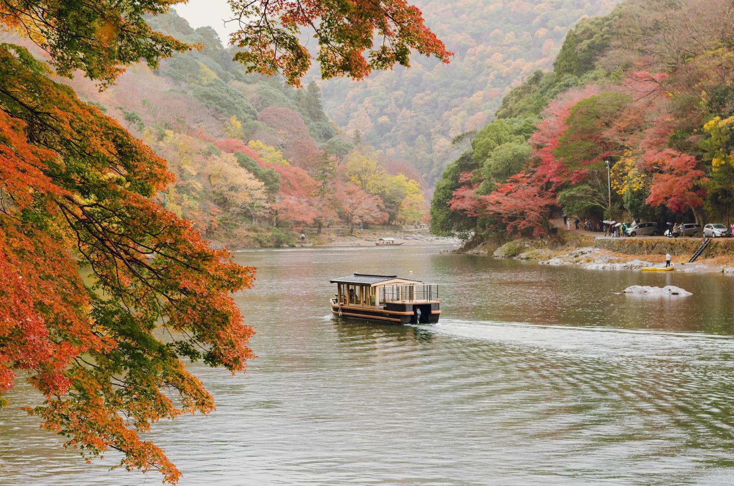 Boat sailing along Katsura river in Arashiyama, Kyoto city in Japan with colorful maple leaves of Autumn season. photo