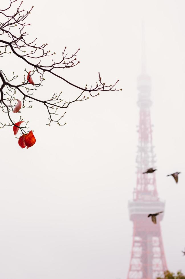 Colorful leaves with blurred background of Tokyo Tower when raining in Autumn. photo