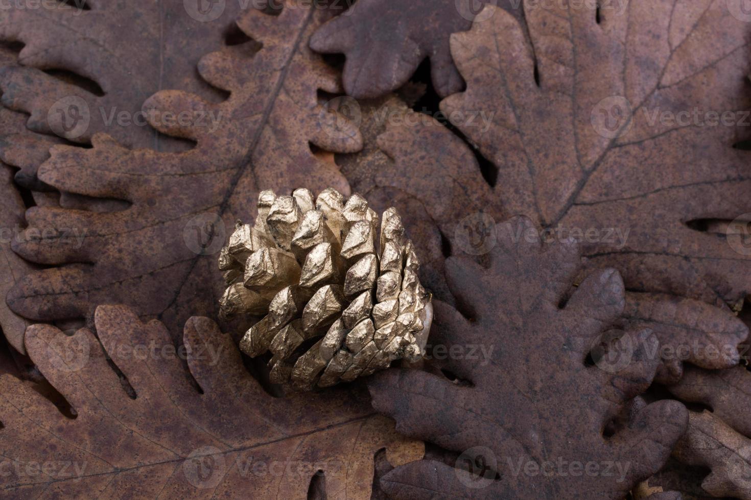 Pine cone on a background covered with dry leaves photo