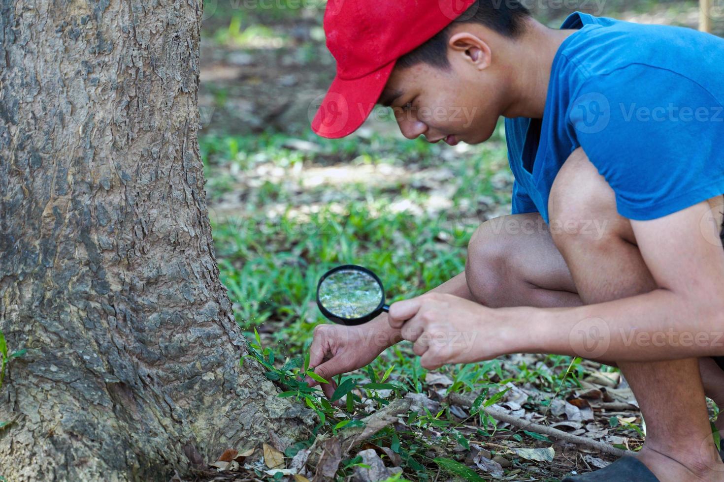 un niño asiático usa una lupa para examinar las criaturas debajo de los árboles en un bosque comunitario para estudiar los ecosistemas en la tierra. concepto de aprendizaje de la ciencia fuera del aula foto