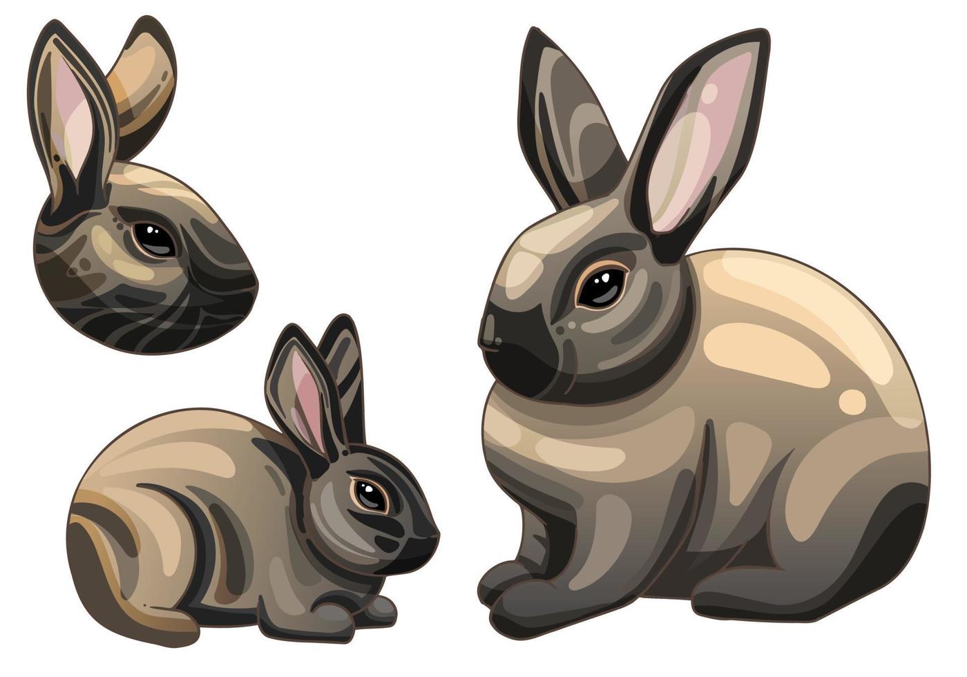 un conjunto de animales dibujados por dibujos animados. raza de conejos conejo sable americano vector