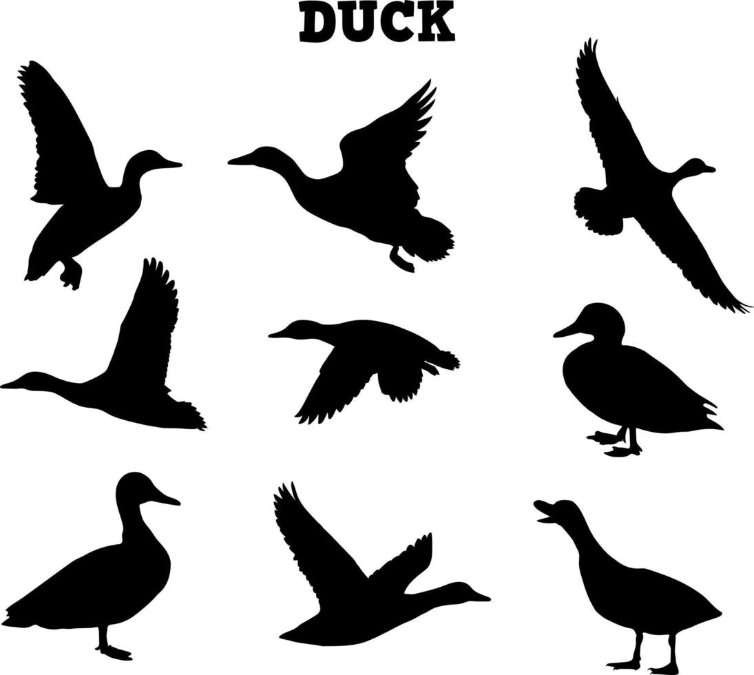 hand draw silhouette duck collection vector illustration