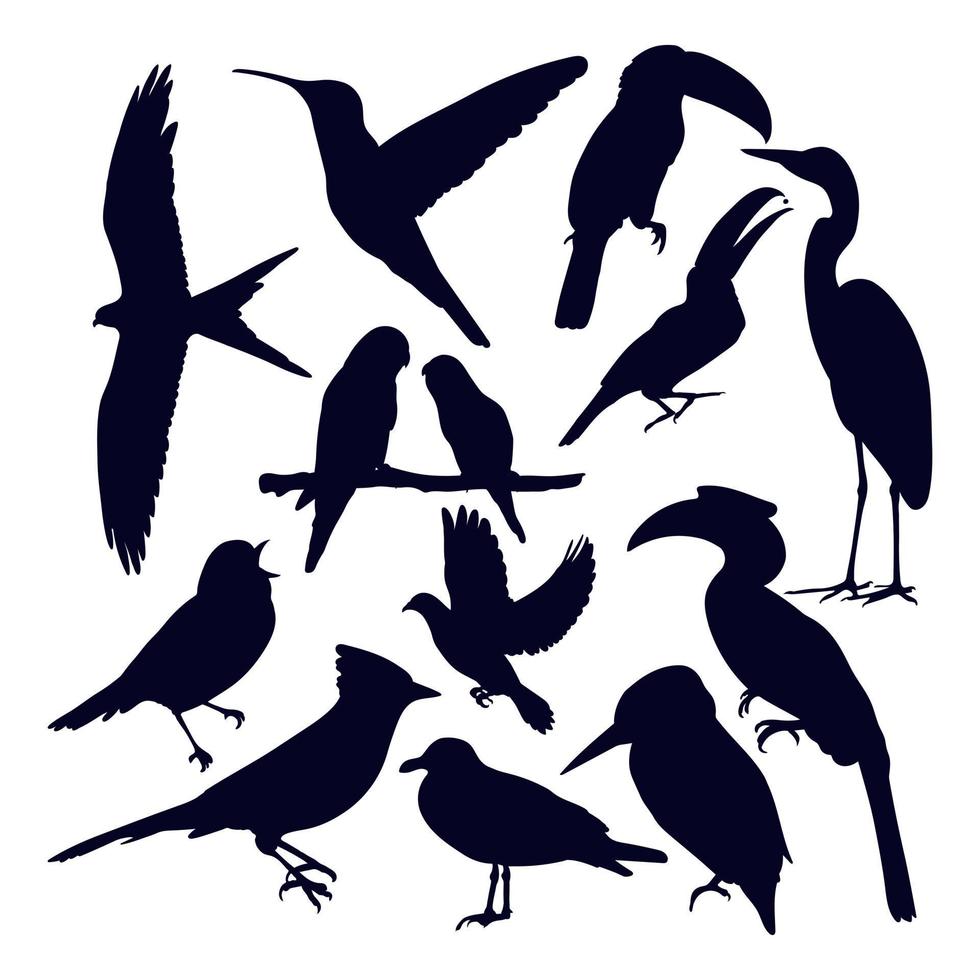 hand draw silhouette bird collection vector illustration