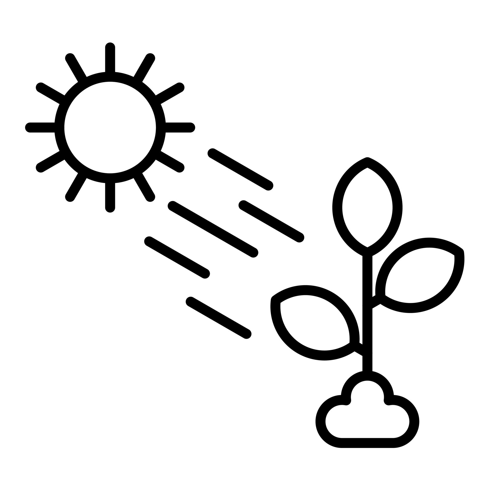 Natural Light Line Icon 14769442 Vector Art at Vecteezy