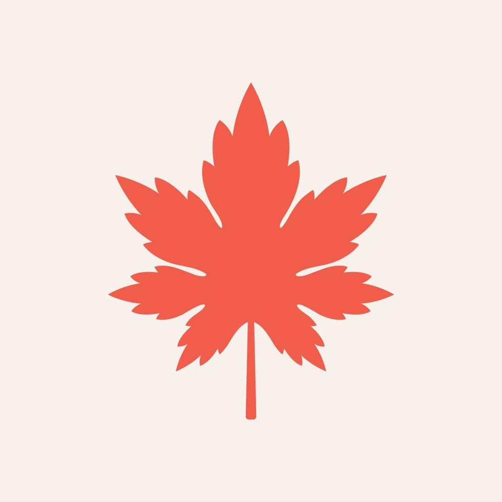 Maple leaf vector icon