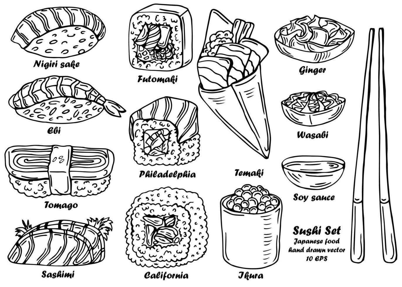 Vector sketch of sushi on white background. Different kinds of rolls with names