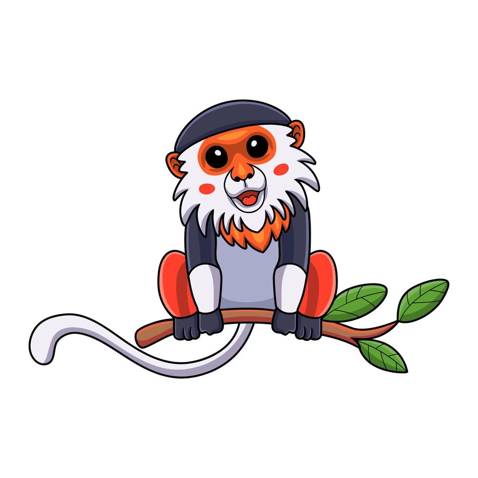 Cute red shanked douc monkey cartoon on tree vector