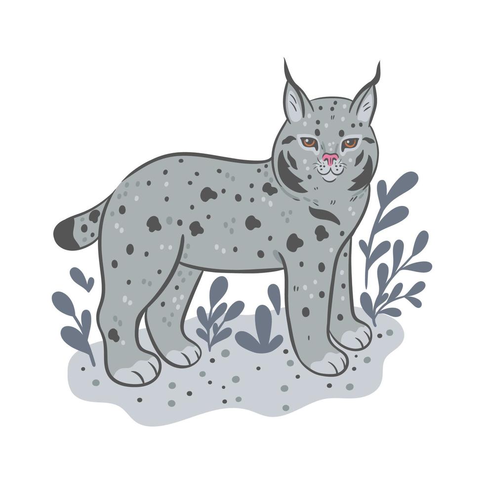 lindo bosque lince aislado sobre fondo blanco. gráficos vectoriales vector