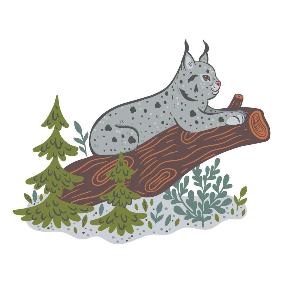 lindo bosque lince aislado sobre fondo blanco. gráficos vectoriales vector