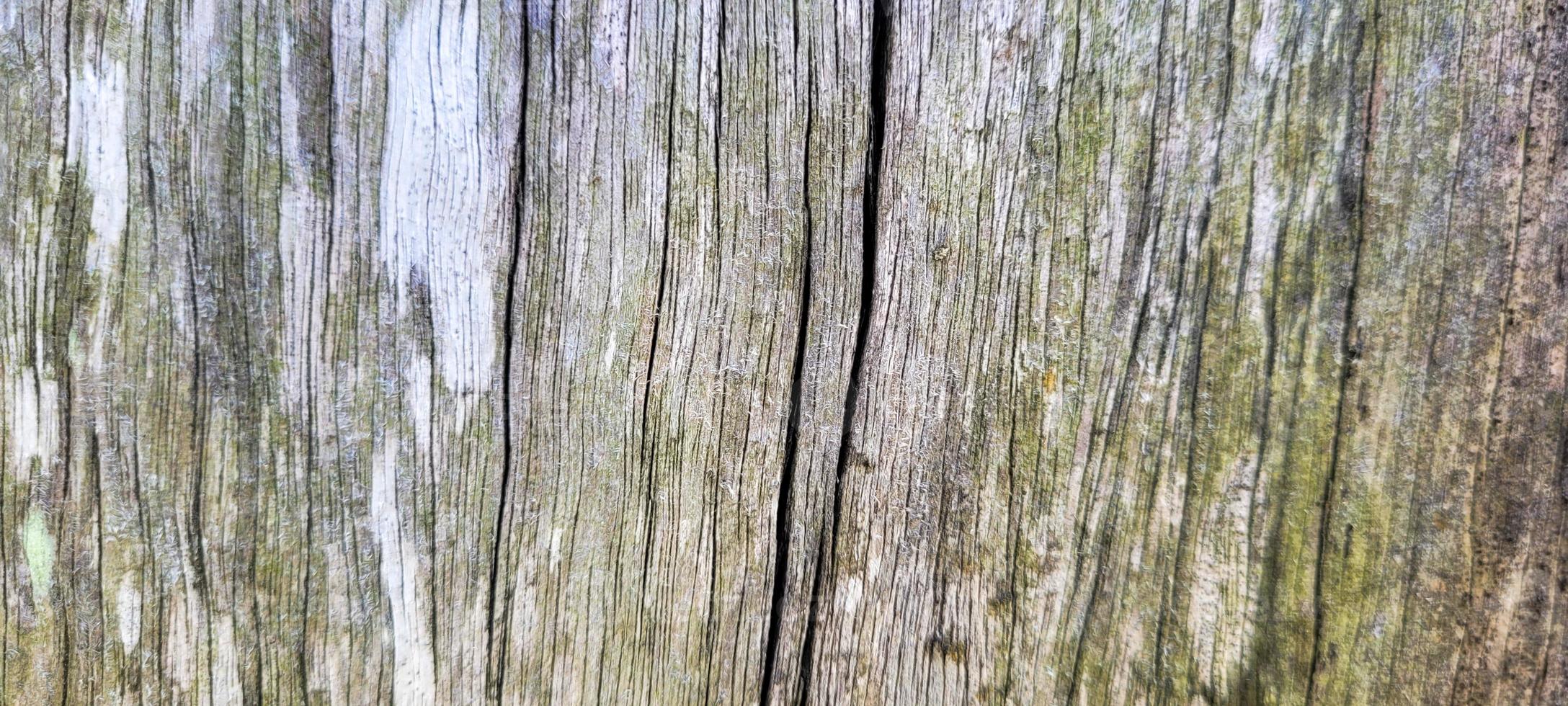 viejo tronco rústico de madera con textura foto