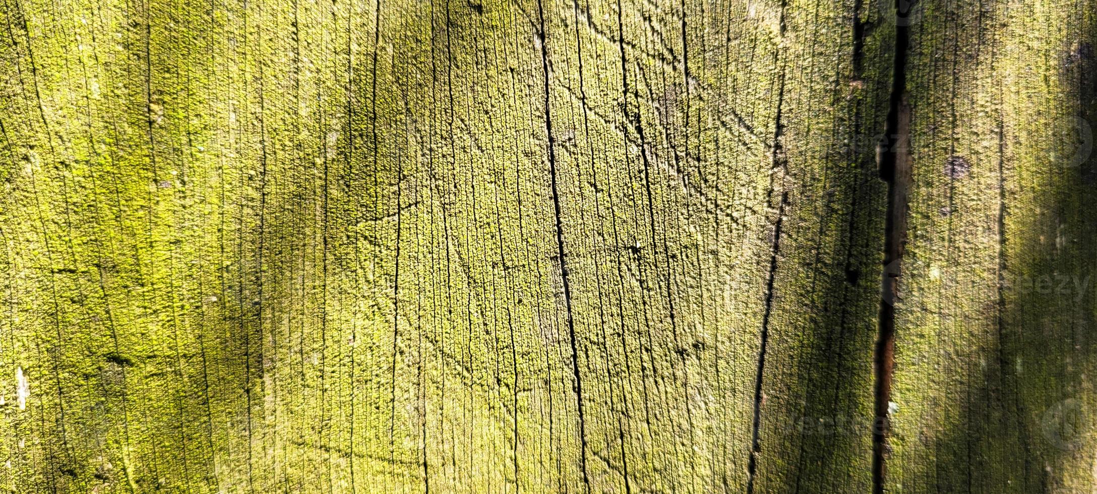 viejo tronco rústico de madera con textura foto