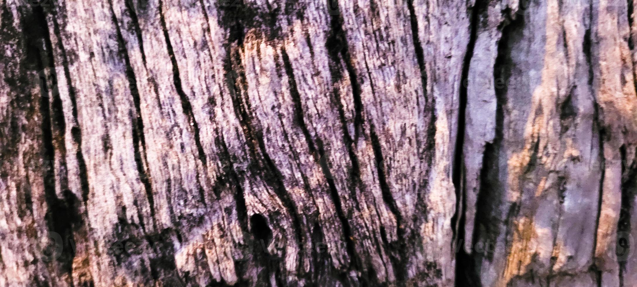 rustic old wooden log with texture photo
