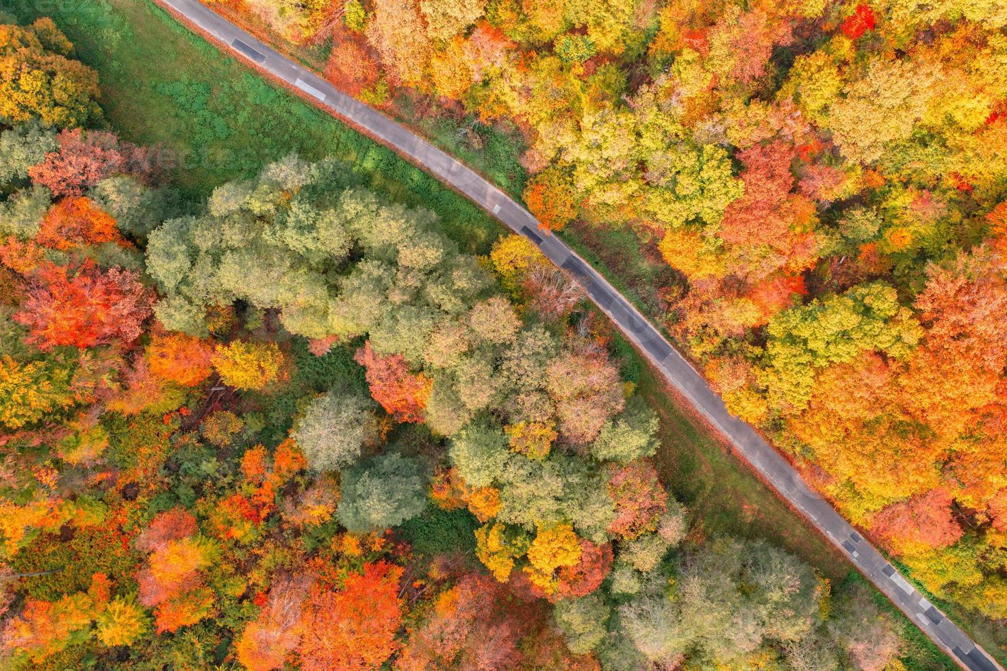 Aerial view of forest and road in autumn with colorful trees. Drone photography. Amazing nature landscape dreamy top aerial view. Mountain forest natural vivid colors. Aerial colorful fall foliage photo