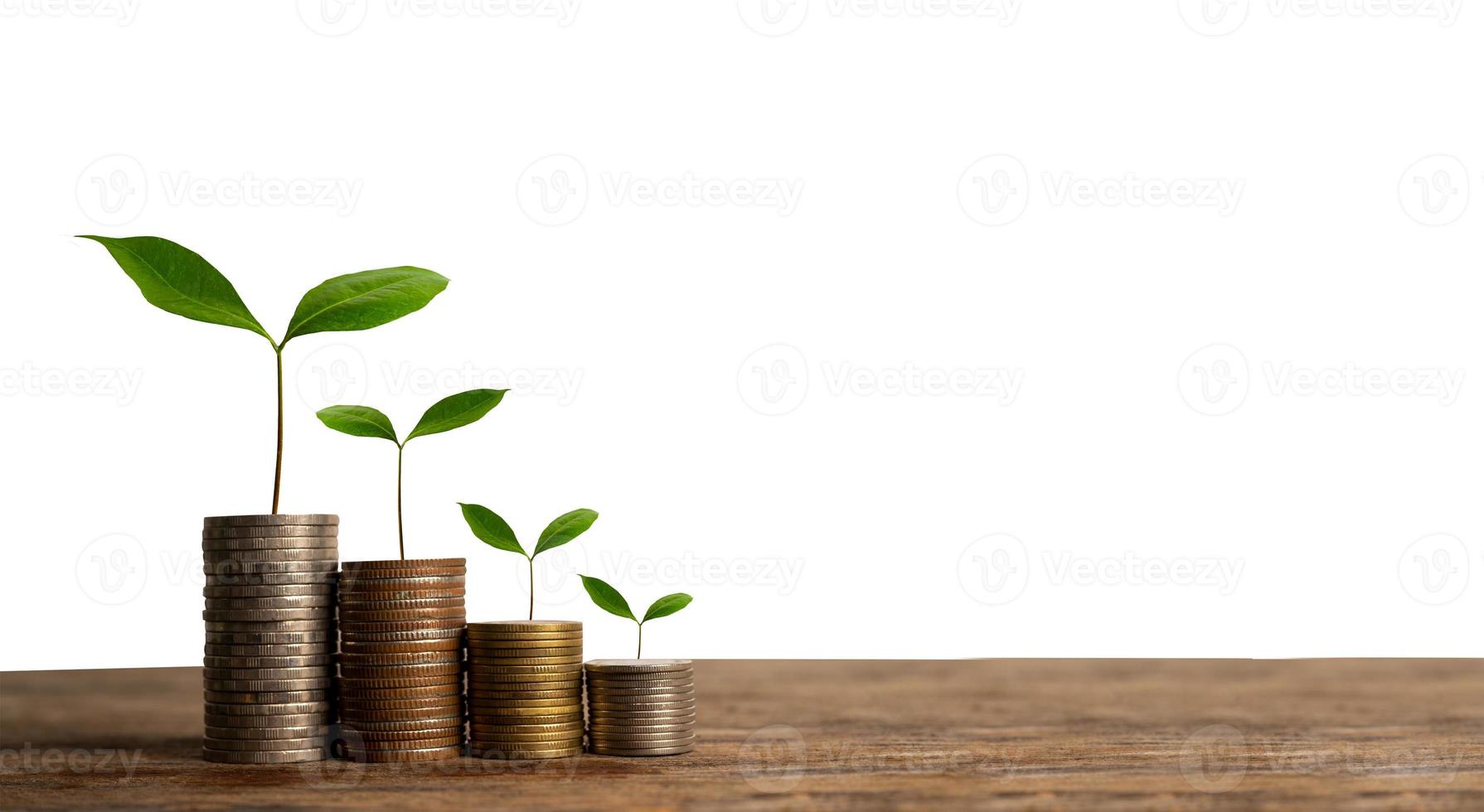 Money growing concept,Business success concept,Trees growing on pile of coins money Isolated photo