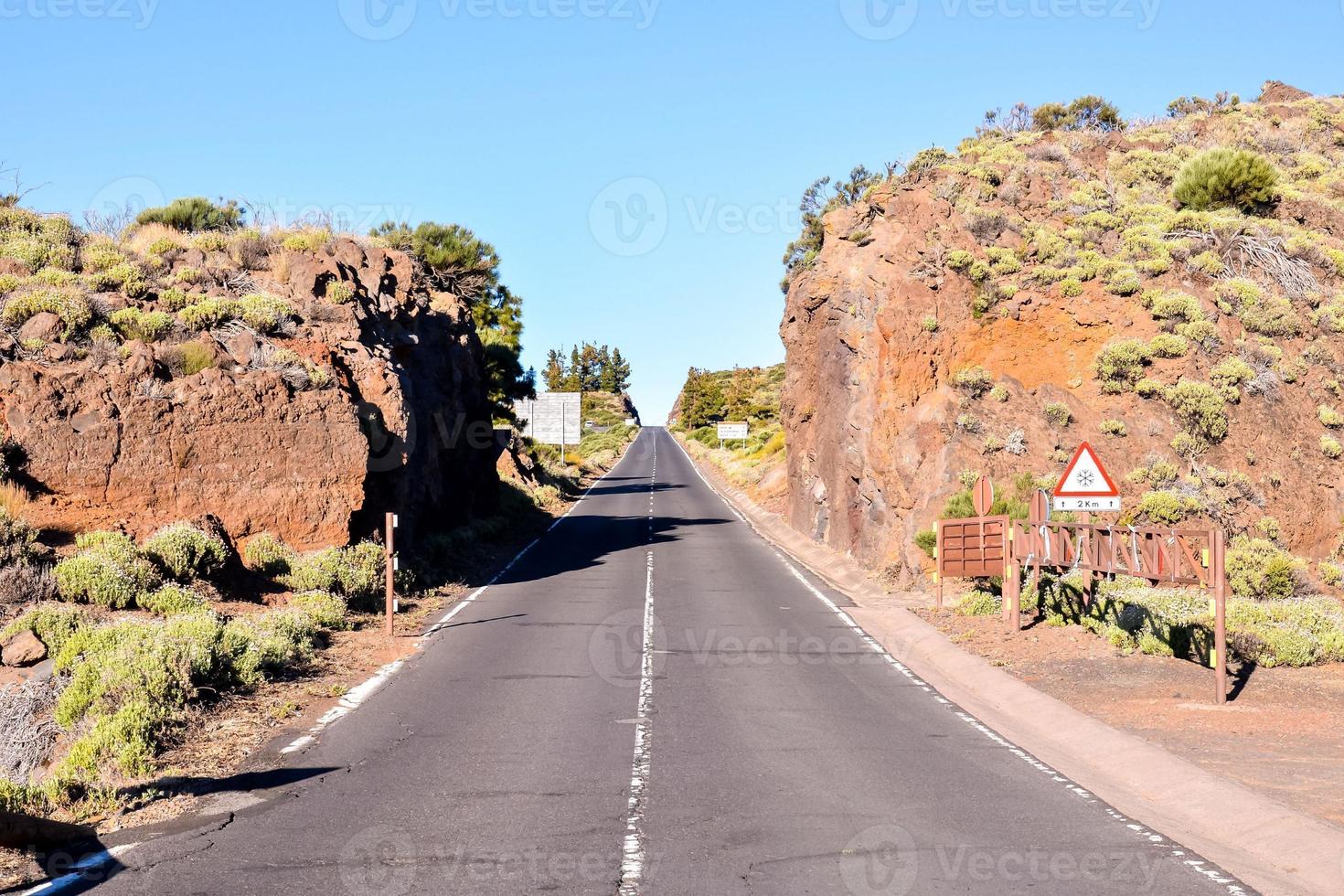 Road with vegetation view photo