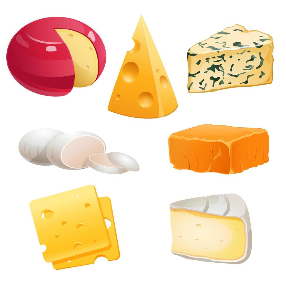 Set of cheese types roquefort, brie and maasdam vector