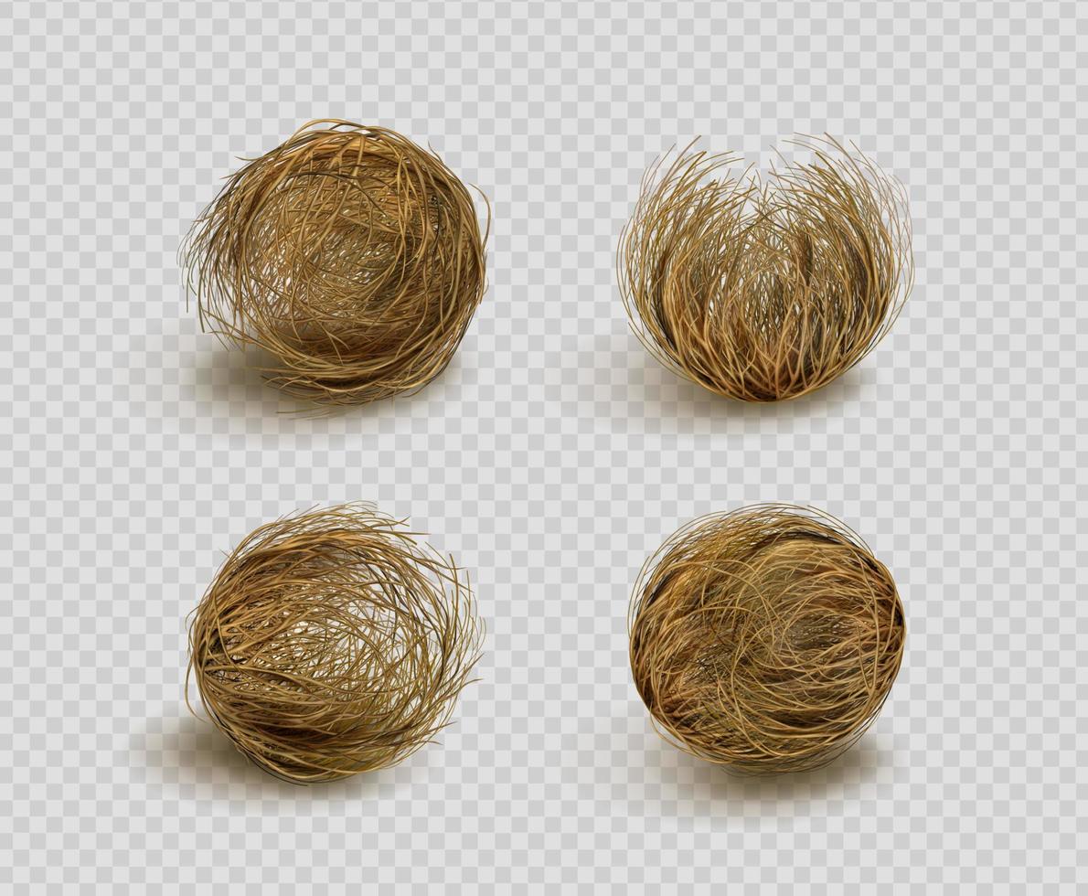 Tumbleweed, dry weed ball in desert vector