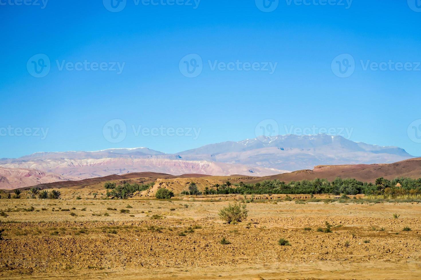 Desert landscape view photo