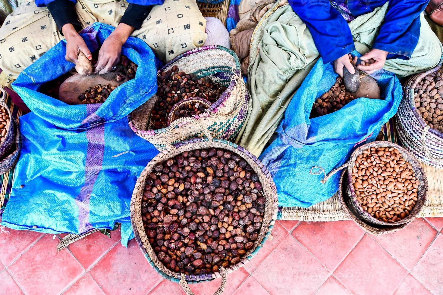 Cracking open nuts photo