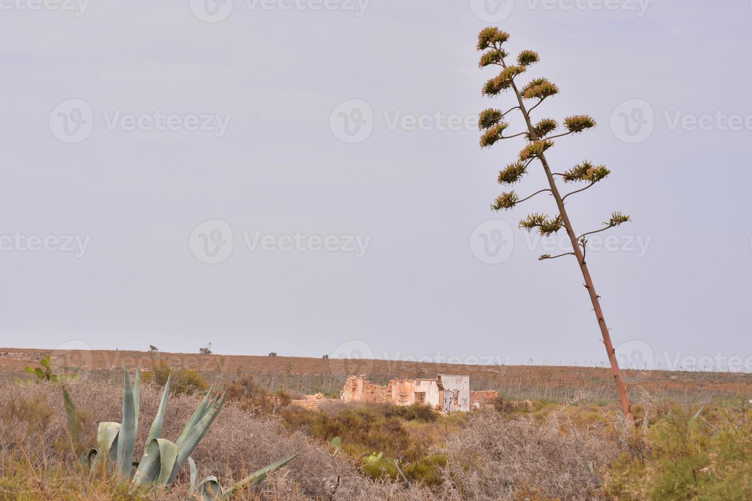 vista del paisaje árido foto