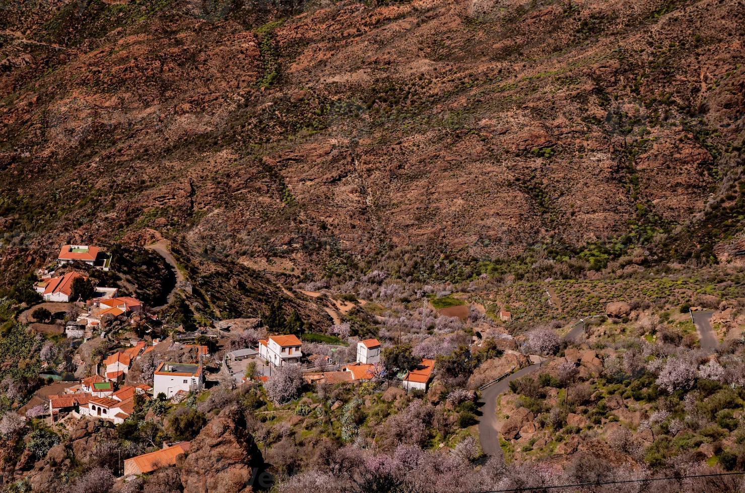 Landscape on the Canary Islands photo